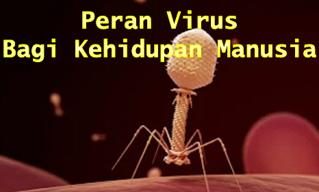 peran virus bagi kehidupan manusia