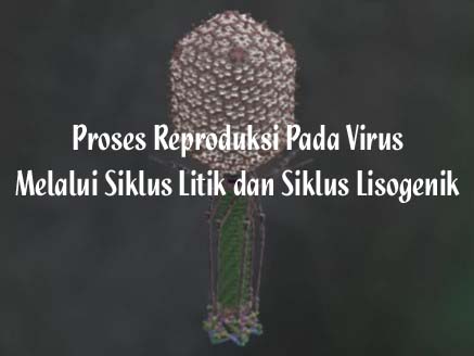 proses reproduksi pada virus