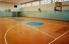 lapangan indoor olahraga basket