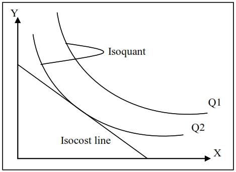 Isoquants dan Isocost Line