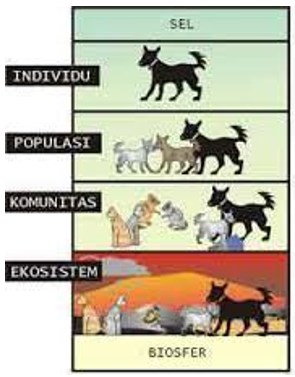 pengertian dan ruang lingkup biologi