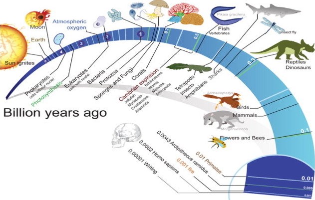 The Role of Biology as a Science and the Scope of Biology