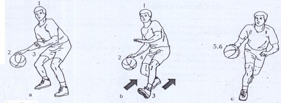 teknik dasar bermain bola basket