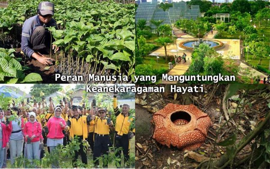 Peran Manusia Terhadap Keanekaragaman Hayati