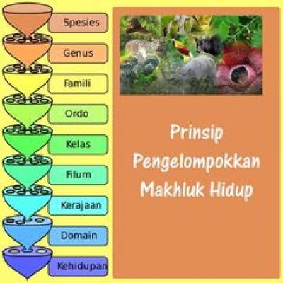 Prinsip Pengelompokan Makhluk Hidup  Pada Ilmu Biologi