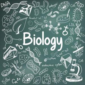The Role of Biology as a Science and the Scope of Biology