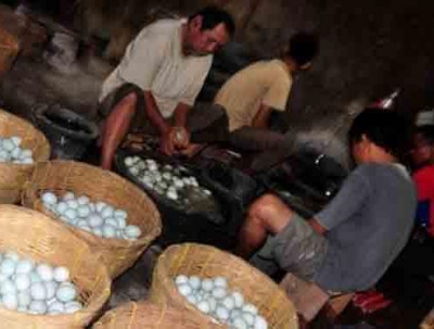 The Development Of Salted Duck Eggs On The People Of Brebes