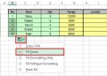 How to Sort Data Using Excel AutoFill Excel 2013