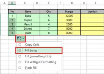 How to Sort Data Using Excel AutoFill Excel 2013