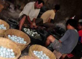 The Development Of Salted Duck Eggs On The People Of Brebes