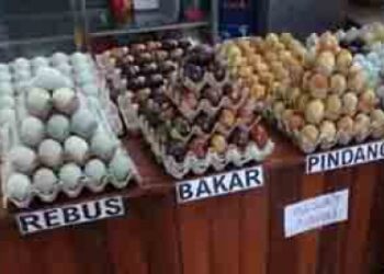 Development Salted Duck Eggs in Brebes Part 3