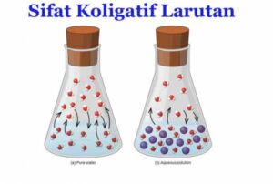 Soal-Soal Sifat Koligatif Larutan