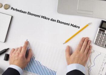 Belajar Perbedaan Ekonomi Mikro dan Ekonomi Makro