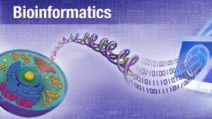 BioInformatika Dalam Ilmu Biologi