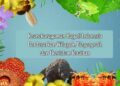 Keanekaragaman Hayati Indonesia Berdasarkan Wilayah, Biogeografi, Dan Ekosistem