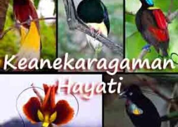 Keanekaragaman Hayati Materi Biologi Kelas 10