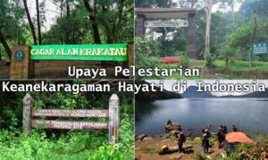 pelestarian hutan untuk keanekaragaman hayati di indonesia