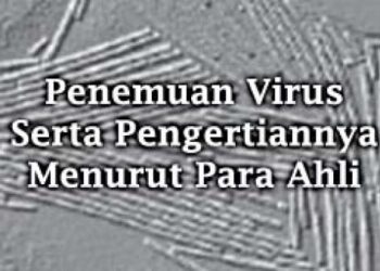 Penemuan Virus Serta Pengertiannya Menurut Para Ahli