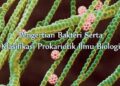 Pengertian Bakteri Serta Klasifikasi Prokariotik Ilmu Biologi