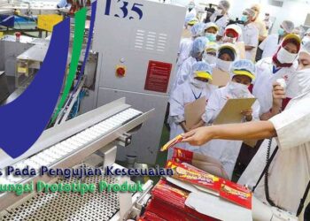 Proses Pada Pengujian Kesesuaian Fungsi Prototipe Produk