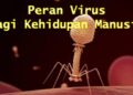Peranan Virus Dalam Kehidupan Manusia