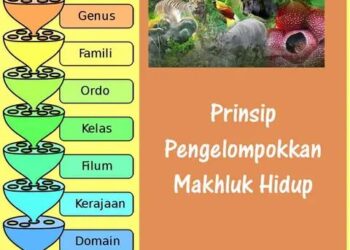 Prinsip Pengelompokan Makhluk Hidup Pada Ilmu Biologi