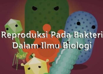 Reproduksi Pada Bakteri Dalam Ilmu Biologi