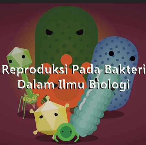 Reproduksi Pada Bakteri Dalam Ilmu Biologi