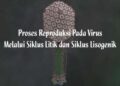 Reproduksi Pada Virus Materi Biologi