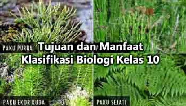 Tujuan Dan Manfaat Klasifikasi Makhluk Hidup Pada Ilmu Biologi